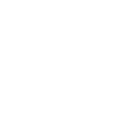 Business Security Icon