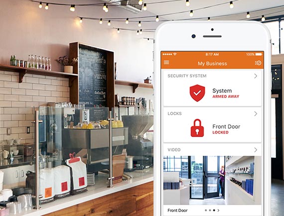 Vidoe surveillance system
